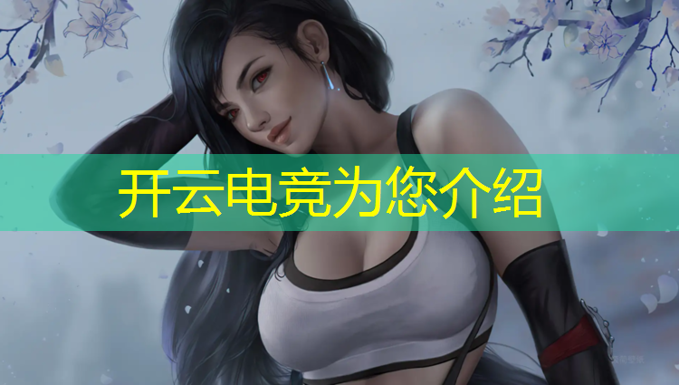 kaiyun·开云电竞为您介绍：张良电竞皮肤活动在哪抽