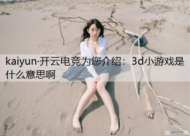 3d小游戏是什么意思啊